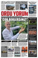 ORDU YORUM