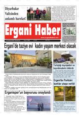 ERGANİ HABER