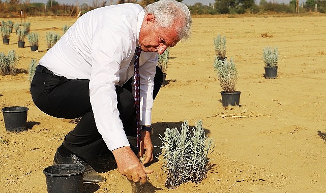 Ödemiş Belediyesi’nden “Tıbbi-Aromatik Bitki Bahçesi” hamlesi