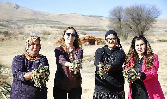 Büyükşehir’den Finike’ye soğuk hava deposu