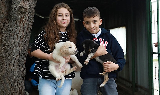 Çocuklar ile belediye el ele kedilere umut veriyor