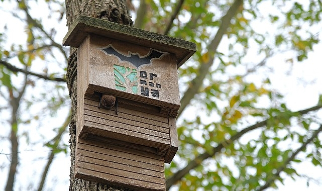 Ormanya “Tür Say!” etkinliğinde 494 gözlem
