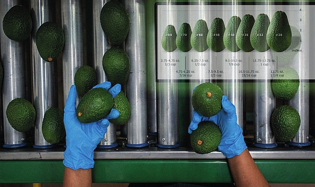 Bakan Böcek tarımda istihdamı arttıracak projeler ile geliyor