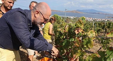 6–7 Eylül’de Bir Başkadır Avşa Etkinliği’nin Programı Açıklandı