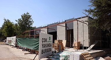 Çankaya, Çınarların Yeni Buluşma Noktası Olacak