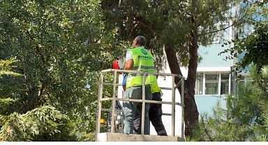 Bakırköy Belediyesi Ekipleri Kurtardı