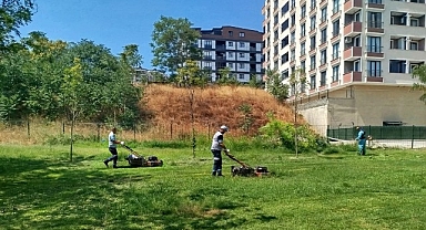 Gebze Tatlıkuyu Vadisi Kent Parkı’na düzenli bakım