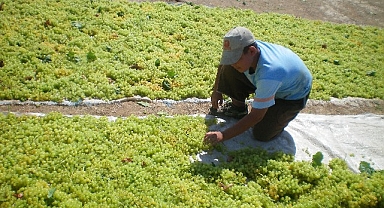 Türkiye, çekirdeksiz kuru üzümde 2024/25 sezonunu enlerde yaşadı