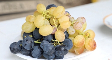 İnegöl Belediyesi’nden Çiftçiye Üzüm Hasadını Kolaylaştıran Destek