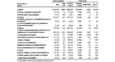 Sektör Bilançoları, 2024