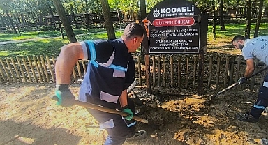 Ormanya’da oyun gruplarına periyodik bakım