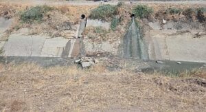 Büyükşehir, Temiz Çevre için Görev Başında